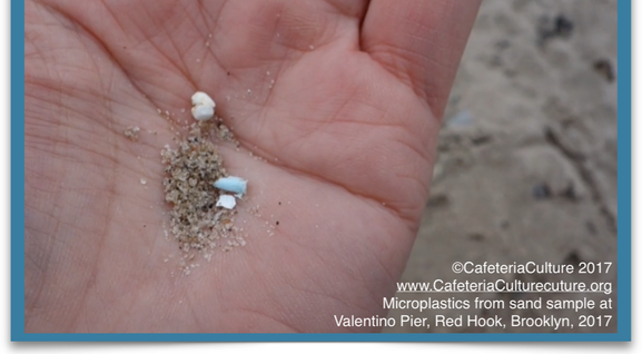Microplastics found on beach at Valentino Pier, Red Hook, Brooklyn, NY, Jan, 2017
