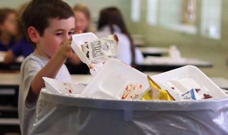 Removal of Styrofoam Trays in Schools: Our Fellow YEL Member's Initiative –  ReThink Energy Florida